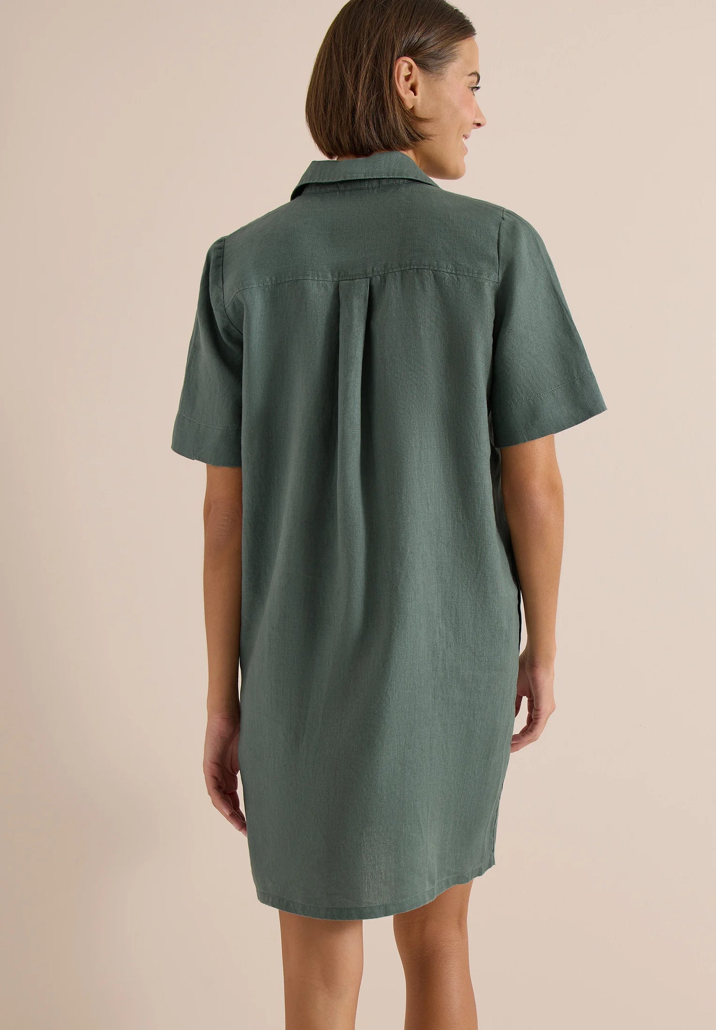 Linen Solid Dress